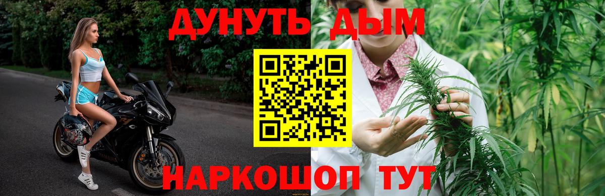 МАРИХУАНА конопля Жуковский